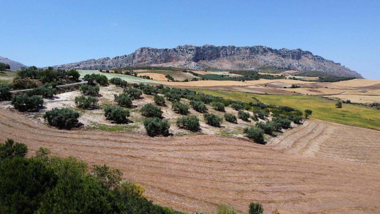 La Posada Del Torcal Villanueva de la Concepción Exteriér fotografie